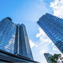 Shenzhen Optics Forest Co.,Ltd company overview - view 1 thumbnail