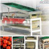 High Efficiency Factory Jujube Sorting Machine