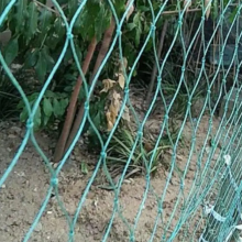 18-Strands 2CM 3CM 4CM Hole Size Heavy Anti Bird Netting,Poultry Aviary Knotted Polyethylene Protection Net thumbnail-5