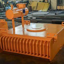 RCDFJ Oil-Forged Circulation Self-Cleaning Electromagnetic Iron Separator | Factory Direct Sales thumbnail-5