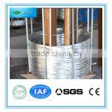 High Quality Galvanized Iron Wire thumbnail-5