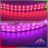 Dual Lines 14mm Width Led Strip 3528 With 1200pcs Roll thumbnail-3