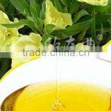 100% Pure Evening Primrose Oil thumbnail-1