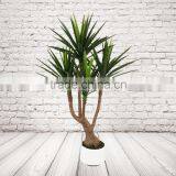 Potted Artificial Sword Leaves Plants, Fake Decorative Yucca