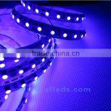 275nm uv Led,395nm uv Led Lamp,380nm uv Led Strip thumbnail-3