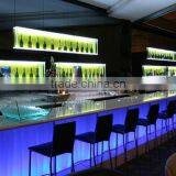 High Qulity Purple Granite Countertop