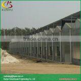Venlo Type Polycarbonate Greenhouse Greenhouse for Agriculture thumbnail-2