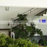 Shanghai Keyan Phosphor Technology Co., Ltd. company overview - view 2 thumbnail