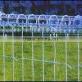 Wire Mesh Fence