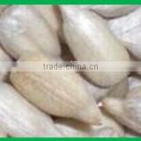 hulled sunflower seeds wholesale price for confectionery products