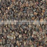 Good Quality Sweet Raw Buckwheat From China thumbnail-2