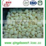 IQF Frozen Peeled Garlic Can Use Cooking thumbnail-4