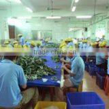 Shenzhen Zhenyan Toy Gift Co., Ltd. company overview - view 2 thumbnail