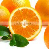 Orange Syrup thumbnail-2