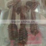 Small Tooth Brush Edible Dog Chewing Food/tooth Brush Dog Chews thumbnail-3