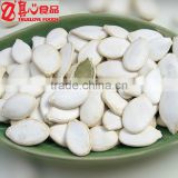 Chinese Snack Pumpkin Seeds on sale