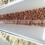 Hydroponic Gutter With Food Grade