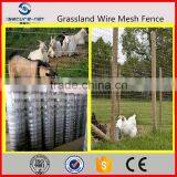 New Design Cattle Fence Machinery Made in China thumbnail-4