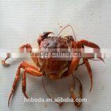 Dryer Type and New Condition Dehydration Plant thumbnail-6