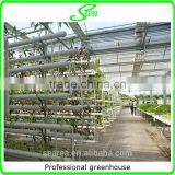 Multi-span Greenhouse Parts thumbnail-3