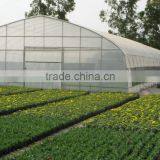 Cheap Tunnel Green House Baolida Vegetable Tunnel Green House for Tomato thumbnail-1