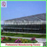 China Price Multi-span Glass Greenhouse With Drip Irrigation for Sale thumbnail-6