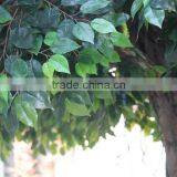 Large Indoor Artificial Ficus Tree,banyan Decoration Tree thumbnail-3