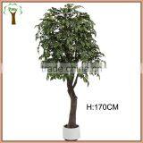 Green Artificial Carambola Fruits Tree for Man-made Landscape thumbnail-1