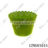 Lace the Mouth Green Pot Plant thumbnail-1