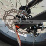 2016 Newest Foldable Fat Tyre Electric Bicycle Folding Bicycle thumbnail-4