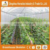 Heracles Trade Saaurance Good Quality uv Plastic Poly Tunnel Greenhouse for Sale thumbnail-3