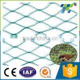 Anti Bird Net thumbnail-1