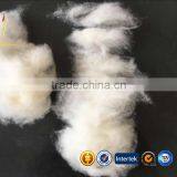Precious Fibers Cashmere Dehaired Fiber thumbnail-1
