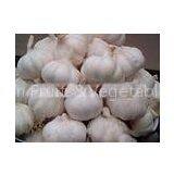 New Crop Fresh Pure White Garlic 5cm 5.5cm for Southeast Asia , Middle East thumbnail-1