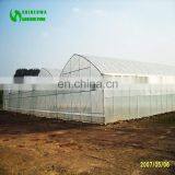 2017 Hot Selling Greenhouse Farm For Sale thumbnail-4