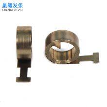 Stainless Steel Constant Force Spring for Boosters Fittings thumbnail-2