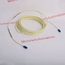 Bently Nevada 21747-075-01