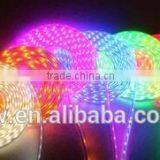IP65 60LED/MFiexble LightLED Strip RGBDC 12V LED Strip thumbnail-3