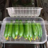 FDA Approval Custom-Made Different Types Plastic Frozen Food Tray Packaging thumbnail-1
