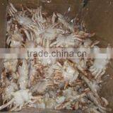 Foods of Crab thumbnail-3