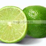 Fresh Lemon & Lime New Crop