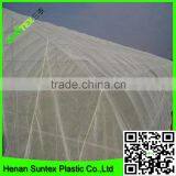 High Quality Anti Insect Net With Compectitive Price thumbnail-2