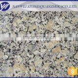 Hot Selling Autumn Gold Granite Counter Top ,flooring Tiles
