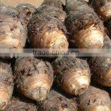 New Crop Dried Taro With High Quality thumbnail-1