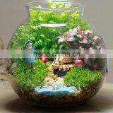 Glass Bottle for Micro Landscape, Glass Vase thumbnail-1