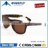 2016 Custom Personal Temple Designed Fashion Classic Branded Glass Turtle Demi Color TR90 Polarized Sunglass With Factory Price