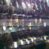 Harbin Ubetter Parts Co., Ltd. company overview - view 2 thumbnail