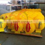 Plastic Poster With 4 Color Print thumbnail-1