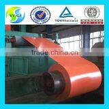 Pre Painted Steel Coils thumbnail-3