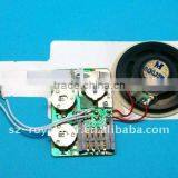 Pre-recorded Voice Chip